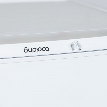 Холодильник Бирюса 553, объем 230 л, A+, механическое управление, перевешивания двери