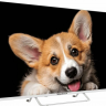 Телевизор TOPDEVICE TDTV43CS03U UHD SMART TV белый