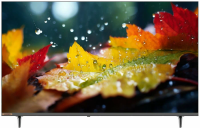 Телевизор Skyworth 40E55G