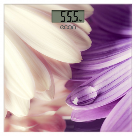 Напольные весы Econ ECO-BS009