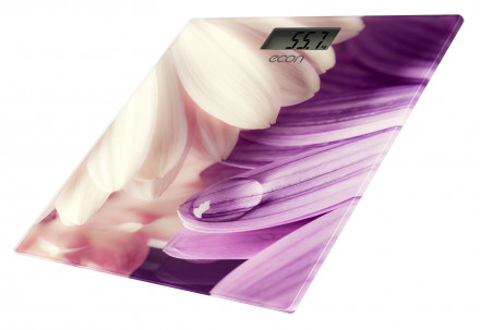 Напольные весы Econ ECO-BS009