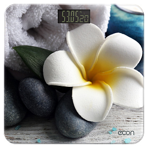 Напольные весы Econ ECO-BS004