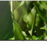 50" Телевизор BQ 50FSU01B, Ultra HD 4K, черный, SMART TV, Tizen OS, LED, 60 Гц