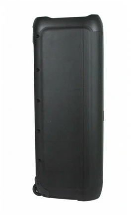 Колонка Eltronic 20-18 FIRE BOX 1000