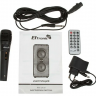 Портативная колонка Eltronic 20-20 FIRE BOX 300