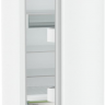 Холодильник Liebherr RBc 5220