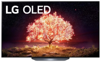 65" Телевизор LG OLED65B1RLA OLED, HDR (2021), серый