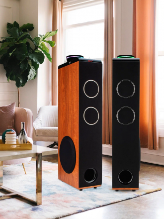 Акустические колонки ELTRONIC (30-49 бук) HOME SOUND - колонки 10&quot; , бук