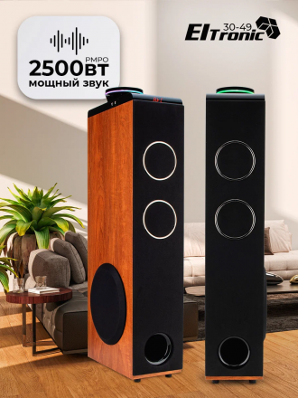 Акустические колонки ELTRONIC (30-49 бук) HOME SOUND - колонки 10&quot; , бук