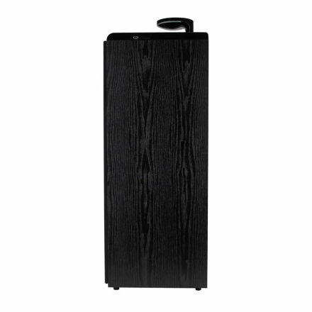 Акустические колонки ELTRONIC (30-49 черный) HOME SOUND - колонки 10 &quot;, черный