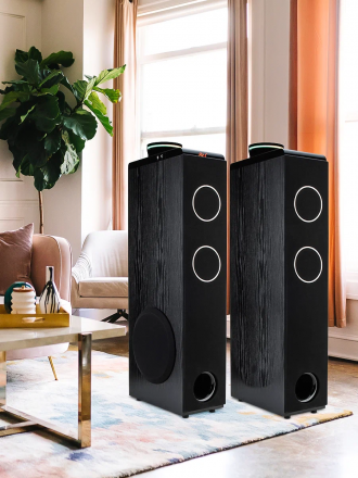 Акустические колонки ELTRONIC (30-49 черный) HOME SOUND - колонки 10 &quot;, черный