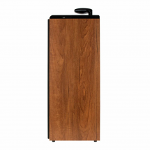 Акустические колонки ELTRONIC (30-50 бук) HOME SOUND - колонка 08&quot;, бук