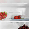 Холодильник Candy CCRN 6200 B, черный