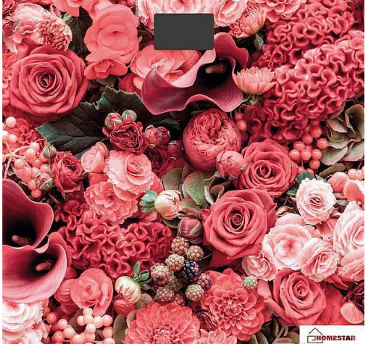 Напольные весы HomeStar HS-6001L