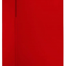 Морозилка POZIS FV NF-117 RED 