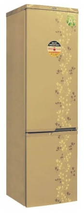 Холодильник DON R-290 ZF, золотой цветок
