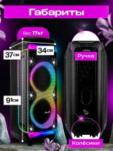 Беспроводная колонка ELtronic 30-30 DANCE BOX 1300, время автономной работы 5 ч, FM-радио, дисплей, караоке