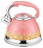 Чайник со свистком ZEIDAN Z-4249 (розовый)
