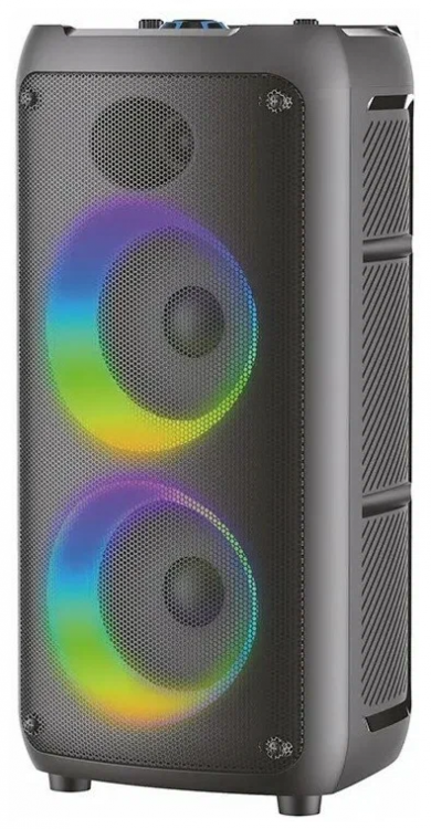 Портативная акустическая система Eltronic 20-41 DANCE BOX 200