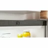 Холодильник INDESIT ITS 4160 G,257 л, внешнее покрытие-металл, размораживание - No Frost, 60 см х 167 см х 62 см