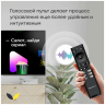 Телевизор TOPDEVICE TDTV32CS08H_BK SMART