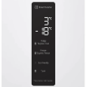 Холодильник LG DoorCooling+GA-B459MQQM