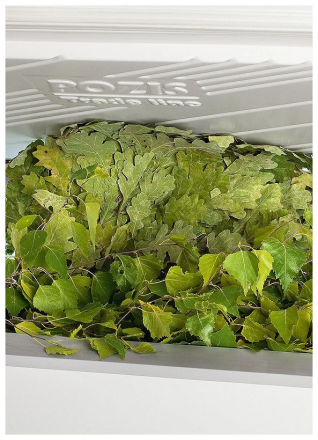 Морозильный ларь POZIS FH-258 372л белый