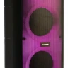 Портативная акустика Telefunken TF-MS3303B