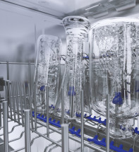 Встраиваемая посудомоечная машина Бирюса DWB-614/5, полноразмерная, ширина 59.8см, полновстраиваемая, загрузка 14 комплектов, белый